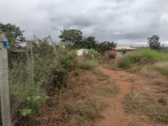 Fazenda / Sítio / Chácara com 3 Quartos à venda, 20000m² no Area Rural do Paranoa, Brasília - Foto 20