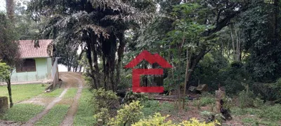 Fazenda / Sítio / Chácara com 3 Quartos à venda, 4000m² no Centro, São Roque - Foto 6