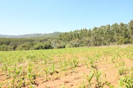 Terreno / Lote / Condomínio à venda, 170700m² no Campestre, São Leopoldo - Foto 7