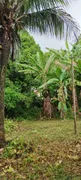 Fazenda / Sítio / Chácara à venda, 9000m² no Campo Grande, Rio de Janeiro - Foto 4