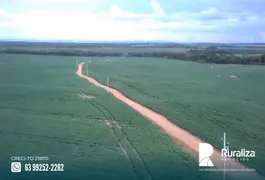 Fazenda / Sítio / Chácara à venda, 1006m² no Zona Rural, Goianorte - Foto 5