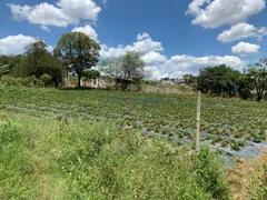 Terreno / Lote / Condomínio à venda, 29524m² no Jundiaí Mirim, Jundiaí - Foto 10