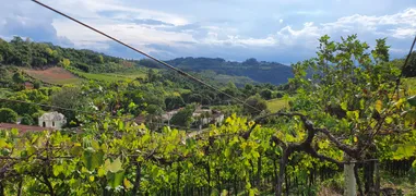 Fazenda / Sítio / Chácara à venda, 140000m² no Zona Rural, Monte Belo do Sul - Foto 6