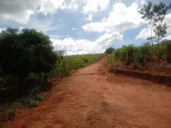 Fazenda / Sítio / Chácara com 3 Quartos à venda, 30000m² no Zona Rural, Glória do Goitá - Foto 12