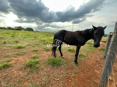 Fazenda / Sítio / Chácara com 4 Quartos à venda, 400m² no Vale Do Amanhecer, Igarapé - Foto 42