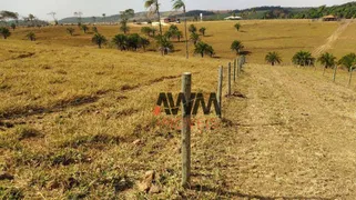 Fazenda / Sítio / Chácara à venda, 726000m² no , Anicuns - Foto 3