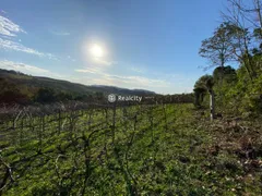 Terreno / Lote / Condomínio à venda, 20000m² no Vale dos Vinhedos, Bento Gonçalves - Foto 6