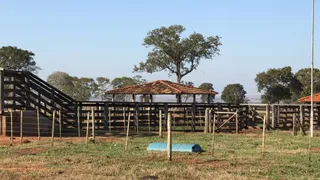 Fazenda / Sítio / Chácara com 5 Quartos à venda, 908m² no , Ribas do Rio Pardo - Foto 16