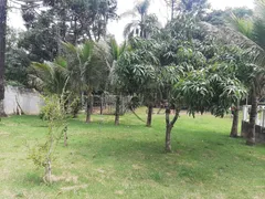 Fazenda / Sítio / Chácara com 3 Quartos à venda, 135m² no Jardim Torrao De Ouro, São José dos Campos - Foto 30