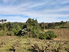 Fazenda / Sítio / Chácara com 5 Quartos à venda, 5000m² no BOSQUE, Vinhedo - Foto 26
