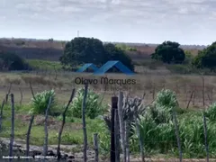 Fazenda / Sítio / Chácara à venda, 275000m² no Trairas, Macaíba - Foto 12