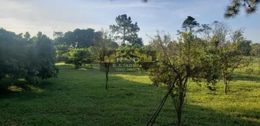 Fazenda / Sítio / Chácara com 4 Quartos à venda, 36000m² no Area Rural de Mogi das Cruzes, Mogi das Cruzes - Foto 35