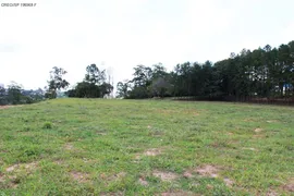 Terreno / Lote Comercial à venda no Eden, Sorocaba - Foto 5