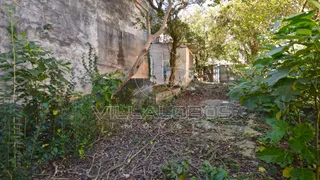 Terreno / Lote / Condomínio à venda no Sumarezinho, São Paulo - Foto 11