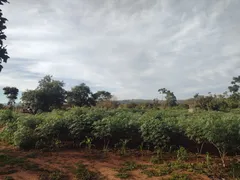 Fazenda / Sítio / Chácara com 3 Quartos à venda, 5000m² no Area Rural do Paranoa, Brasília - Foto 17