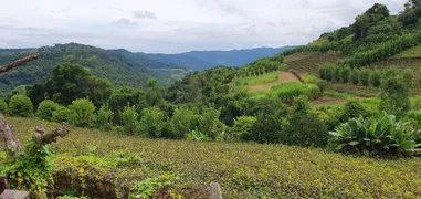 Fazenda / Sítio / Chácara à venda, 20000m² no Zona Rural, Santa Tereza - Foto 11