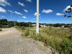 Terreno / Lote / Condomínio à venda, 2531m² no São Ciro, Caxias do Sul - Foto 2