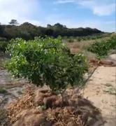 Fazenda / Sítio / Chácara à venda, 170000m² no Paripueira, Beberibe - Foto 19