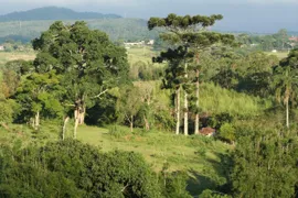 Fazenda / Sítio / Chácara com 8 Quartos à venda, 3000m² no Jardim Nova Ipelandia, Suzano - Foto 15