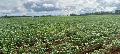 Fazenda / Sítio / Chácara com 2 Quartos à venda, 420000m² no Paranoá, Brasília - Foto 10