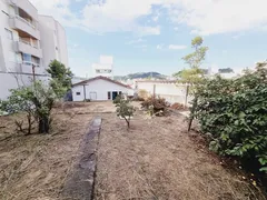 Terreno / Lote / Condomínio à venda, 484m² no Flor de Napolis, São José - Foto 5