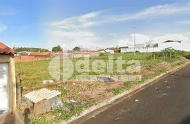 Terreno / Lote / Condomínio à venda, 300m² no Taiaman, Uberlândia - Foto 3