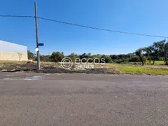 Terreno / Lote / Condomínio à venda, 1562m² no Jardim America I, Uberlândia - Foto 1