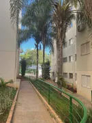 Apartamento com 2 Quartos à venda, 50m² no Residencial Colorado, São José do Rio Preto - Foto 13