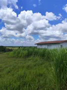 Fazenda / Sítio / Chácara com 2 Quartos à venda, 2000m² no , Monte Alegre - Foto 19