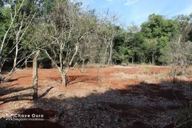 Fazenda / Sítio / Chácara com 2 Quartos à venda, 196m² no Santos Dumont, Cascavel - Foto 22