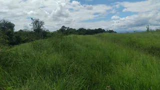 Fazenda / Sítio / Chácara à venda, 242000m² no Centro, Guaratinguetá - Foto 5