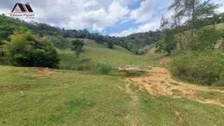 Fazenda / Sítio / Chácara com 2 Quartos à venda, 200m² no Zona Rural, Tuiuti - Foto 8