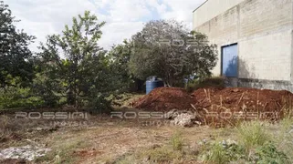Terreno / Lote / Condomínio à venda, 3500m² no Alto do Ipiranga, Ribeirão Preto - Foto 15