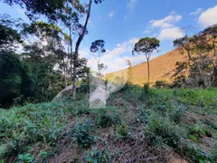 Terreno / Lote / Condomínio à venda, 2495m² no Itaipava, Petrópolis - Foto 7