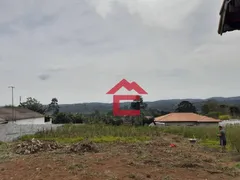 Terreno / Lote / Condomínio à venda, 1000m² no Votorantim, Ibiúna - Foto 16