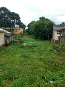 Terreno / Lote / Condomínio à venda, 500m² no São Lucas, Canela - Foto 3