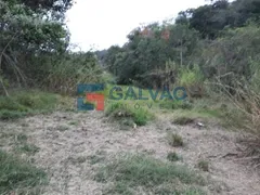 Fazenda / Sítio / Chácara com 3 Quartos à venda, 238m² no Caxambú, Jundiaí - Foto 2