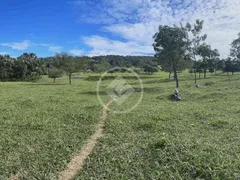 Fazenda / Sítio / Chácara com 4 Quartos à venda, 7m² no Centro, Anicuns - Foto 7