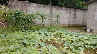 Fazenda / Sítio / Chácara com 3 Quartos à venda, 1530m² no Pavão-Canguera, São Roque - Foto 15