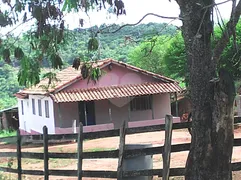 Fazenda / Sítio / Chácara com 1 Quarto à venda, 842160m² no Centro, Turvolândia - Foto 5