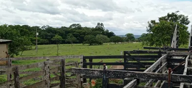 Fazenda / Sítio / Chácara com 1 Quarto à venda, 5000m² no Girassol, Cocalzinho de Goiás - Foto 1