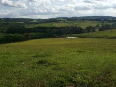 Fazenda / Sítio / Chácara com 3 Quartos à venda, 150m² no Zona Rural, Quadra - Foto 24