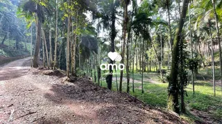 Fazenda / Sítio / Chácara com 4 Quartos à venda, 290m² no Souza Cruz, Brusque - Foto 17
