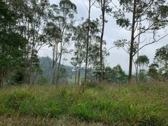 Terreno / Lote / Condomínio à venda, 1000m² no Fazenda Palao Alpes de Guararema, Guararema - Foto 7