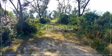 Terreno / Lote / Condomínio à venda, 300m² no Lagoinhas, Balneário Gaivota - Foto 4