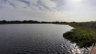 Fazenda / Sítio / Chácara com 4 Quartos à venda, 2000m² no , Bataguassu - Foto 3