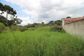 Terreno / Lote / Condomínio à venda, 589m² no Del Rey, São José dos Pinhais - Foto 2