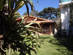 Fazenda / Sítio / Chácara com 6 Quartos para venda ou aluguel, 3300m² no Pavão-Canguera, São Roque - Foto 61