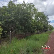 Fazenda / Sítio / Chácara com 1 Quarto à venda, 30000m² no Coxipó do Ouro, Cuiabá - Foto 5