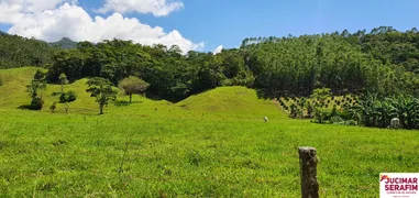 Fazenda / Sítio / Chácara com 2 Quartos à venda, 12m² no Oliveiras, Tijucas - Foto 3